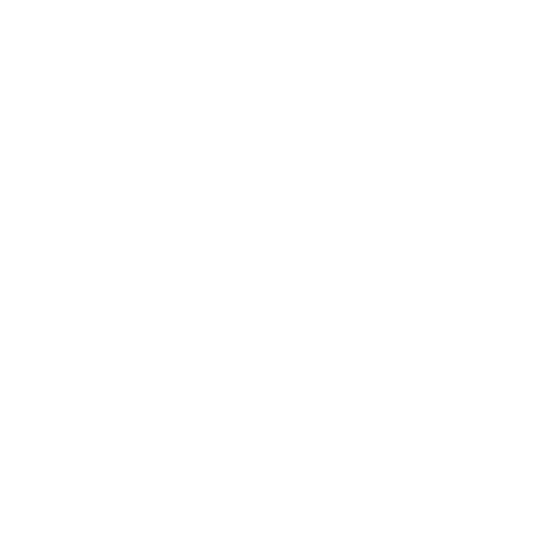 regX Logo